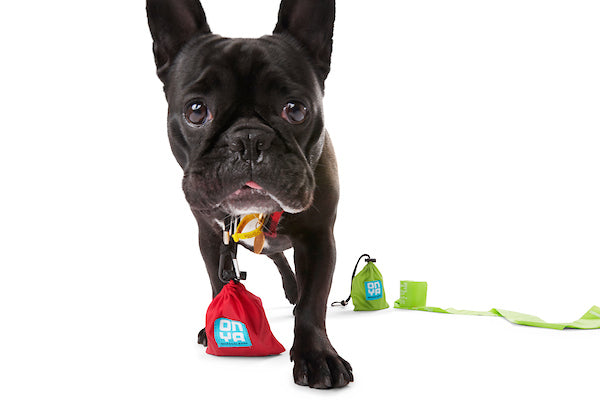 Dog Waste Disposal Bags and Pouch